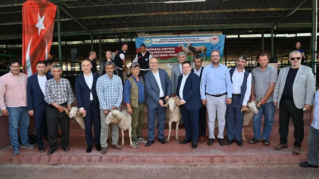 Başkan Ergün damızlık koçları hayvan yetiştiricilerine teslim etti