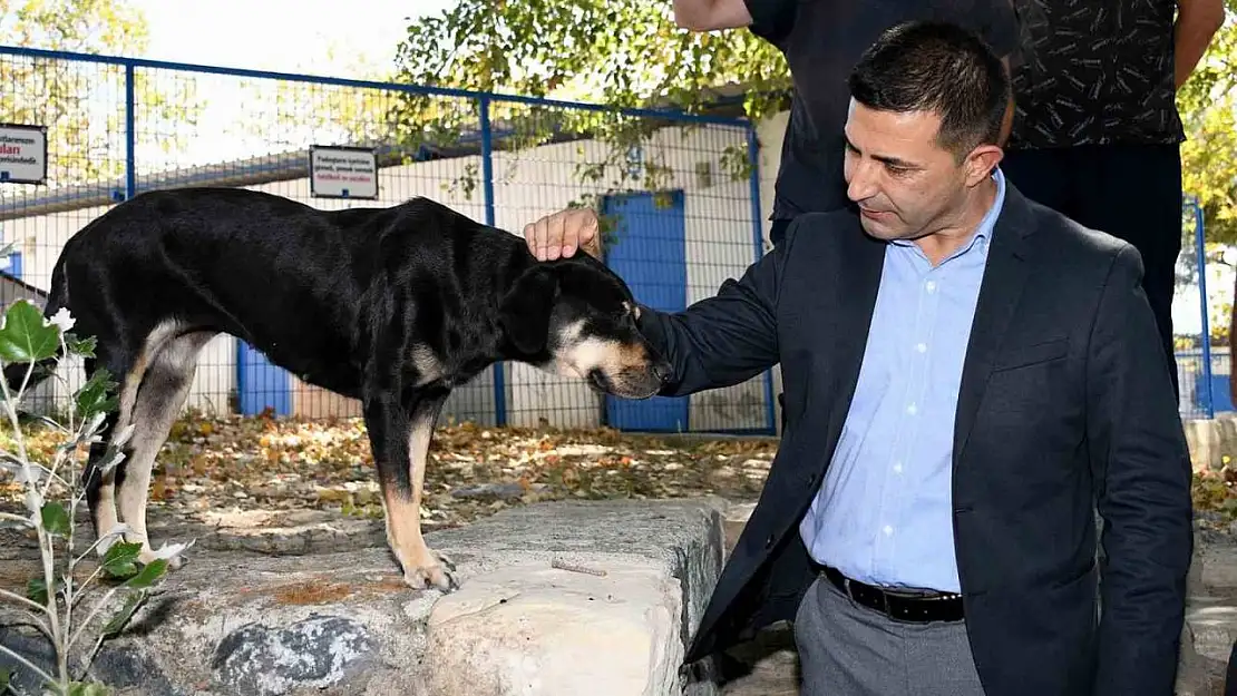 Başkan Günel: 'Şartlar ne olursa olsun can dostlarımızı yaşatacağız'