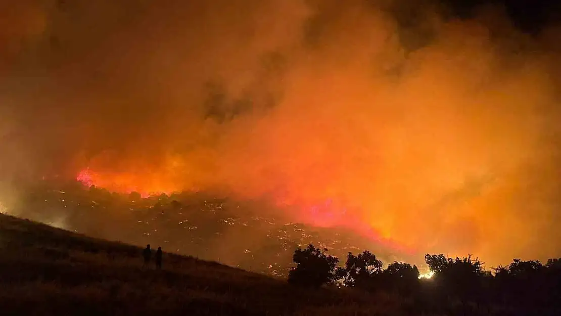 Bayındır'da korkutan yangın