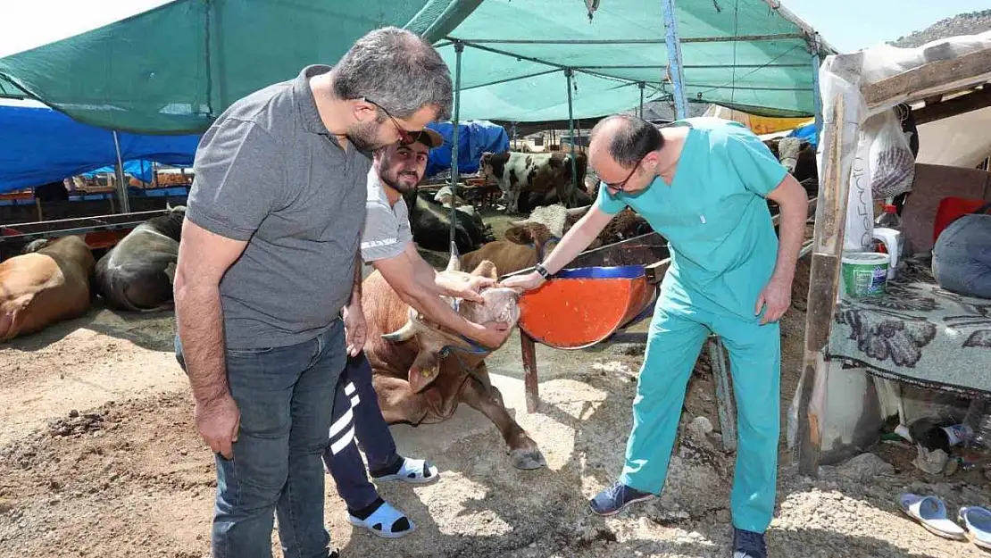 Bayraklı'da Kurban Bayramı'na hazırlıkları