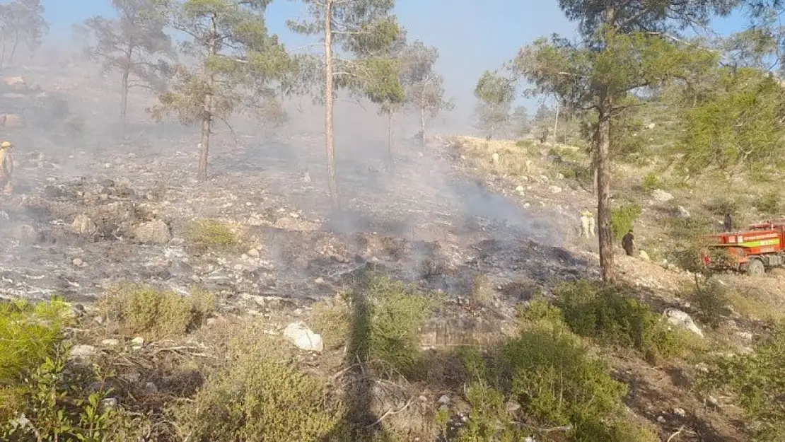Bayramiç'teki yangında 5 hektar alan zarar gördü