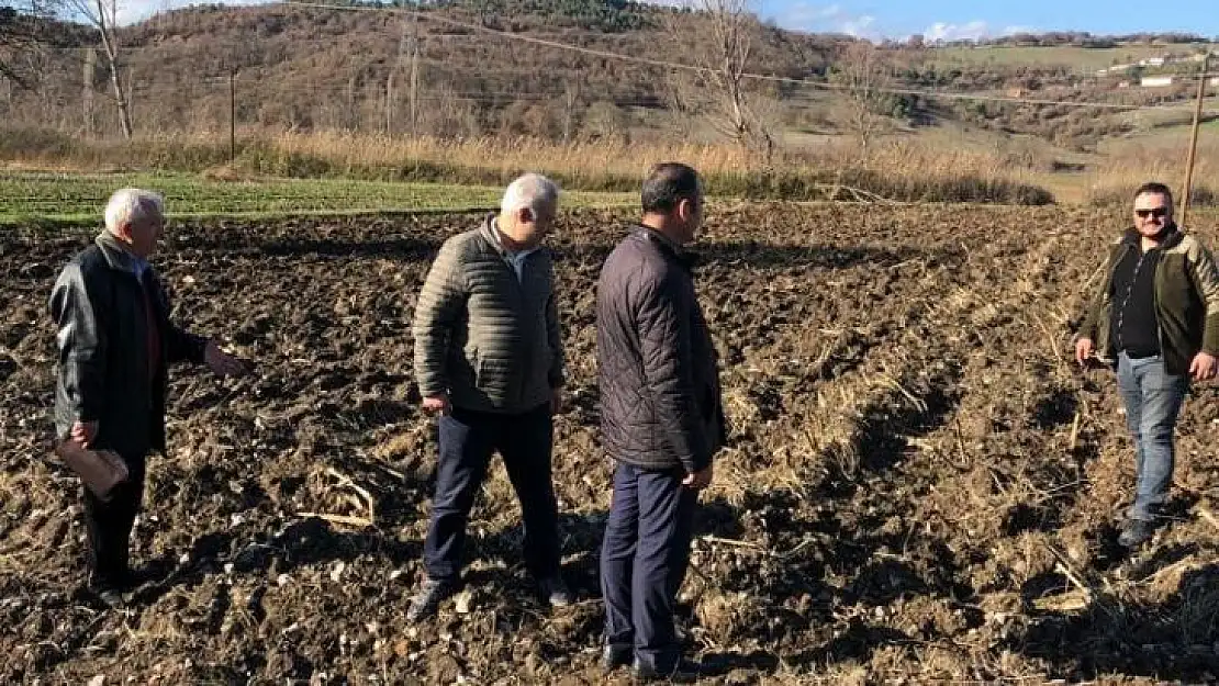 BBP buğday ekerek tarıma giriyor