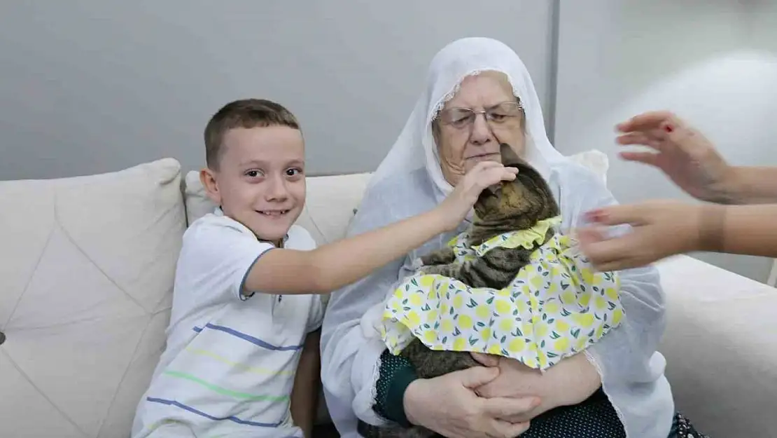 Bebek gibi giydirdiği kedisiyle 82 yaşında fenomen oldu