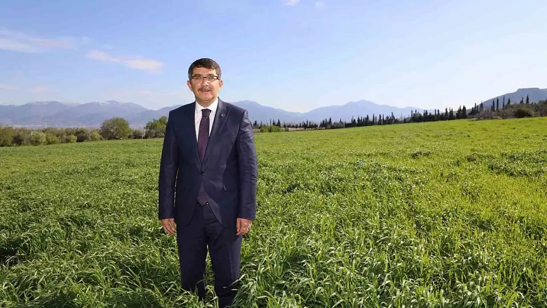Belediyenin buğdayları ihtiyaç sahiplerine un olacak