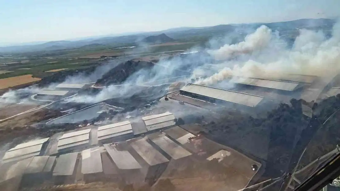 Bergama'da otluk alanda yangın