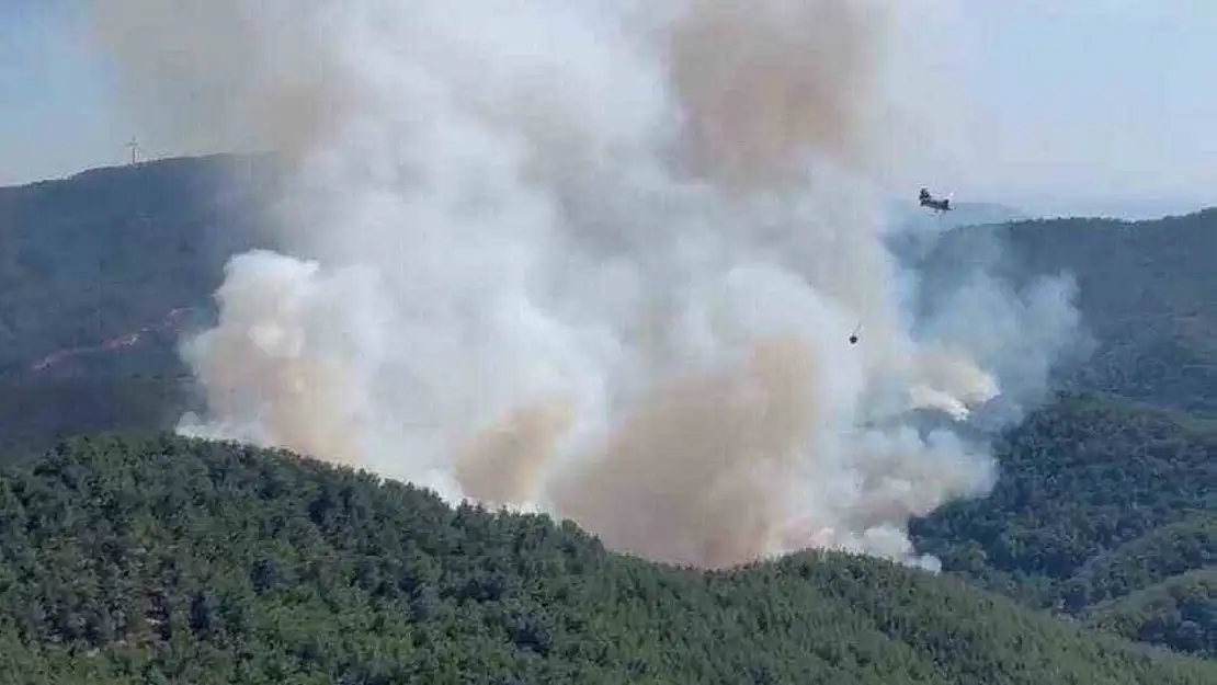 Bergama'daki orman yangına havadan ve karadan müdahale