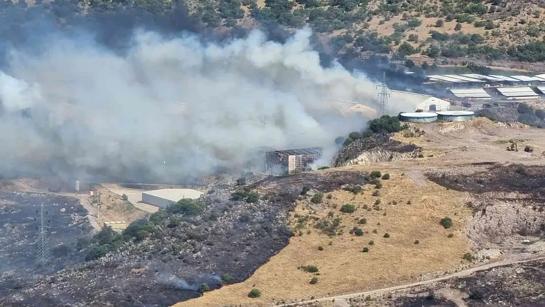 Bergama'daki yangın süt işletme tesisine sıçradı, ekipler alarmda