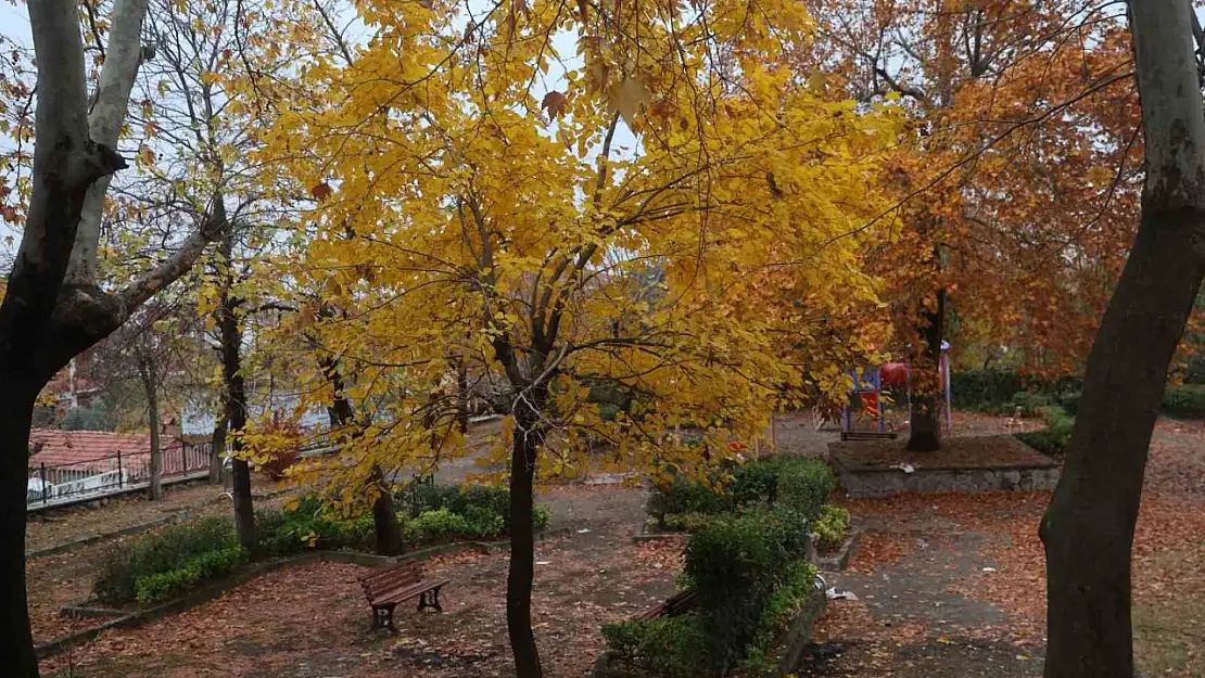 Beyazın ve sonbaharın güzellikleri bir arada