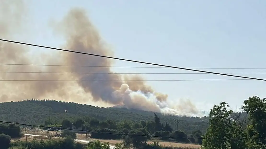 Biga'daki orman yangını kontrol altına alındı