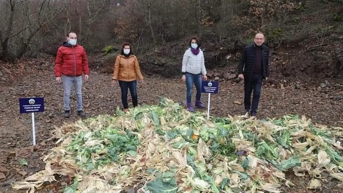 Bitkisel atıklar yaban hayvanlarına yem oldu