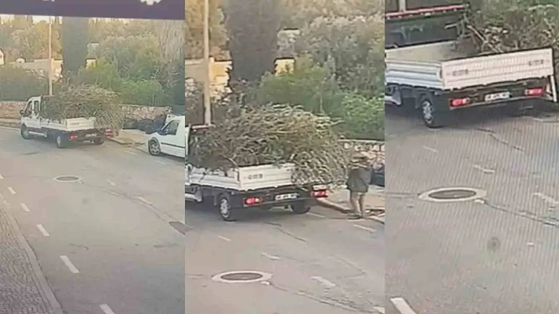 Bodrum Belediyesi'nden çevreyi kirletenlere cezai işlem