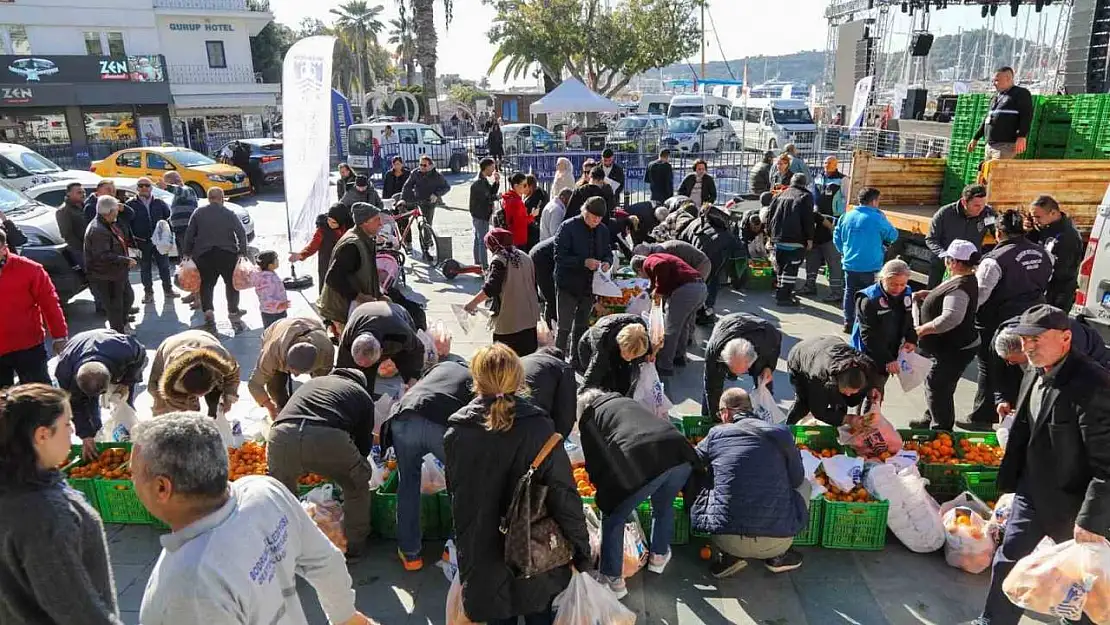 Bodrum'da 10 ton mandalina dağıtıldı