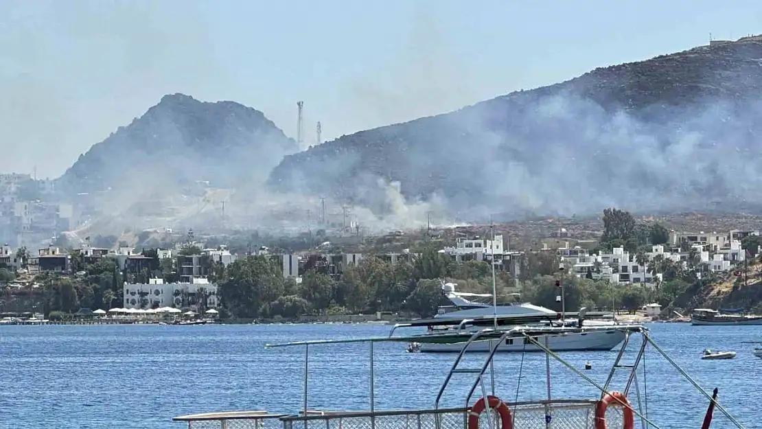 Bodrum'da 2 noktadaki yangın kontrol altına alındı