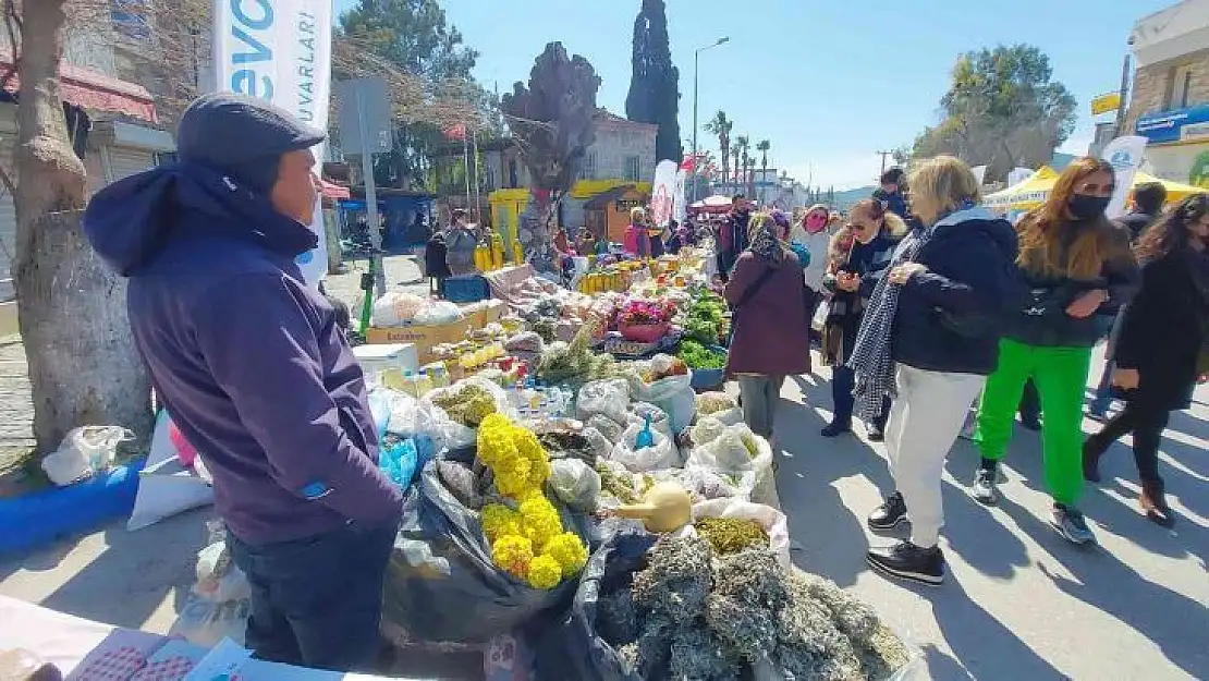 Bodrum'da bu defa 'ot festivali' düzenlendi
