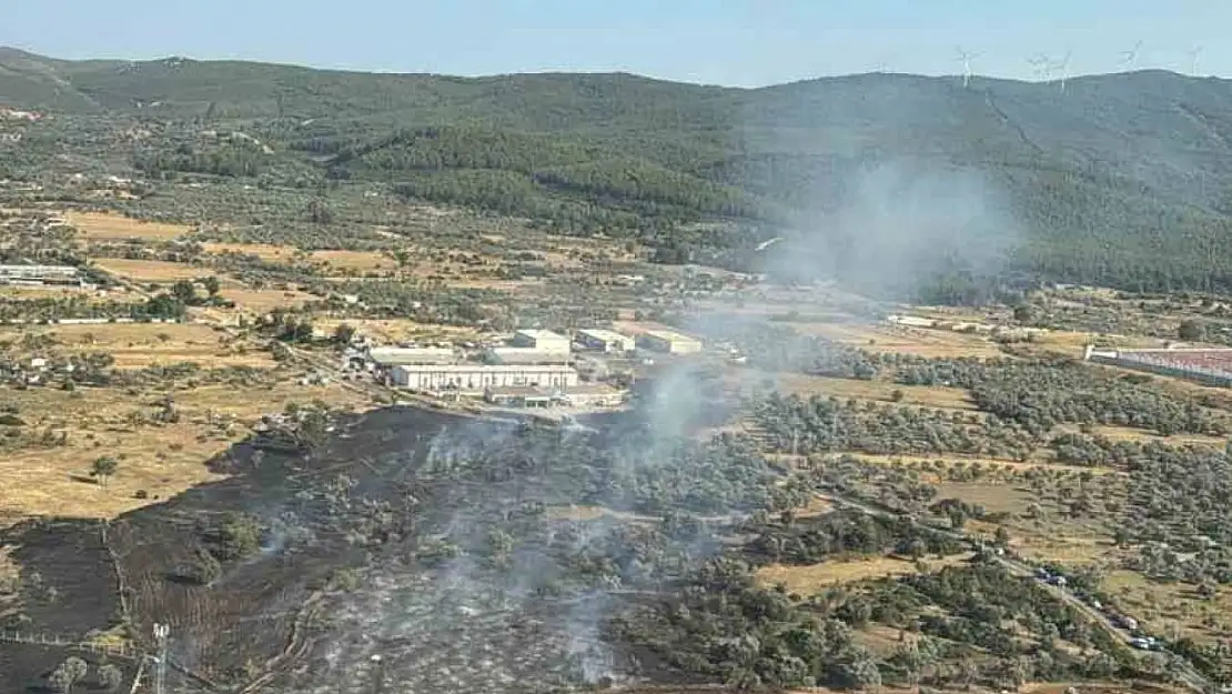 Bodrum'da çıkan zirai alan yangını büyümeden söndürüldü