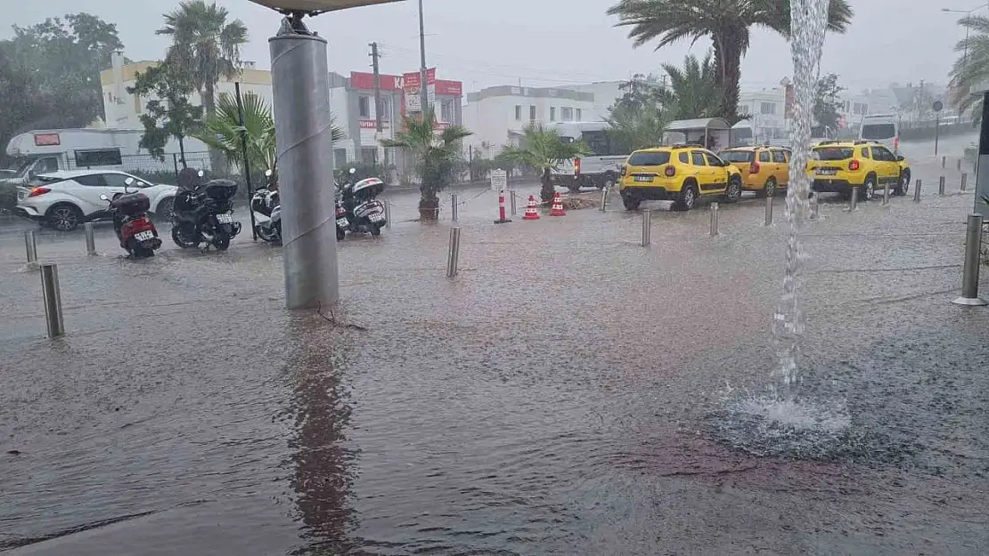 Bodrum'da Kasım bereketi