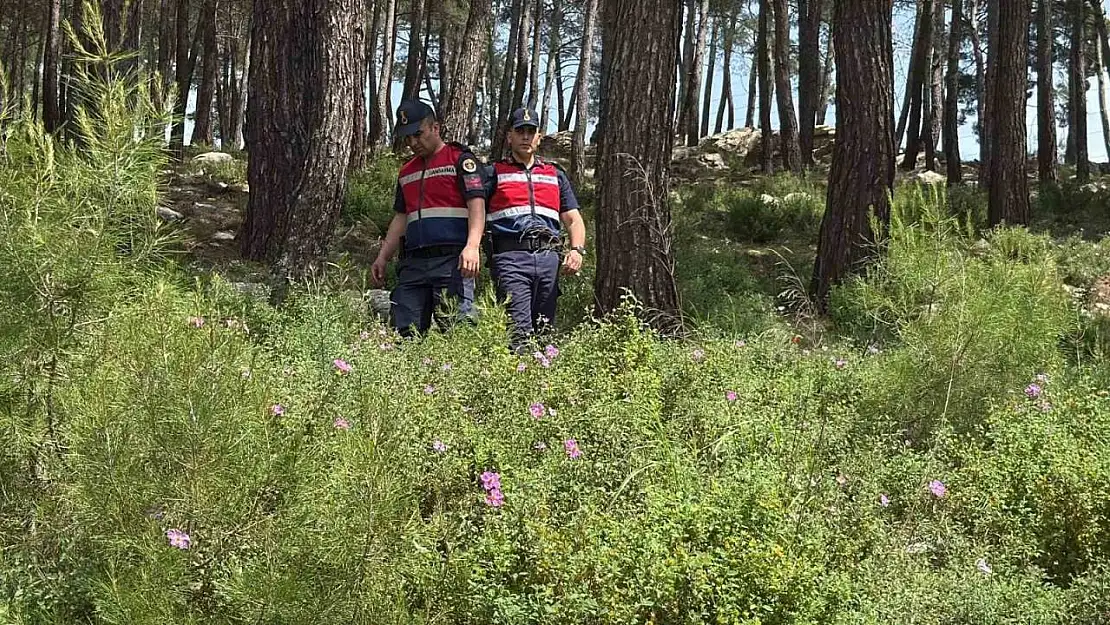 Bodrum'da ormanlara giriş yasaklandı, jandarma termal dronla kuş uçurtmuyor