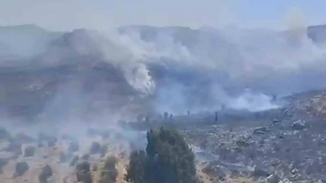 Bodrum'da otluk alanda çıkan yangın kısa sürede kontrol altına alındı