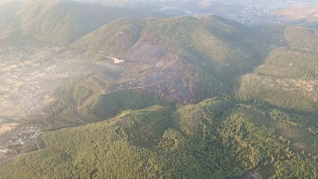 Bodrum'daki orman yangını kontrol altına alındı