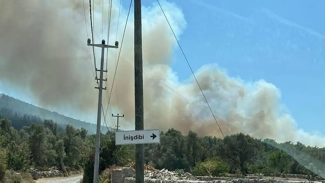 Bodrum'daki orman yangınına havadan ve karadan müdahale devam ediyor