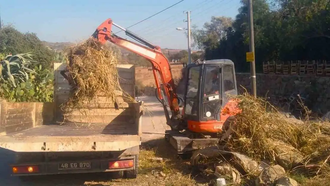 Bodrum'un derelerinde kış temizliği