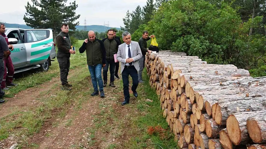 Bölge Müdürü Erdal Dingil, Tavşanlı ve Simav'da incelemelerde bulundu