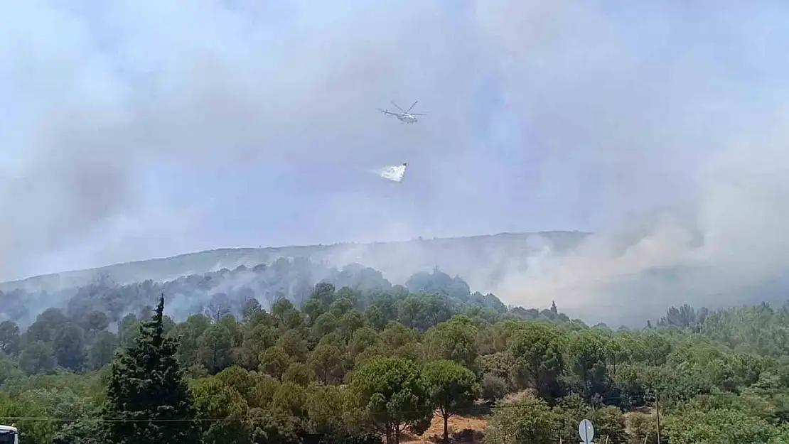 Bornova'daki orman yangını kontrol altına alındı