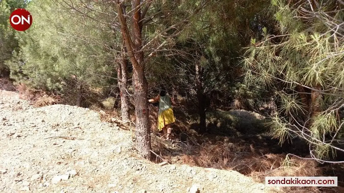 Bozcaada'da kaybolan Alzheimer hastası kadın 6 gündür aranıyor
