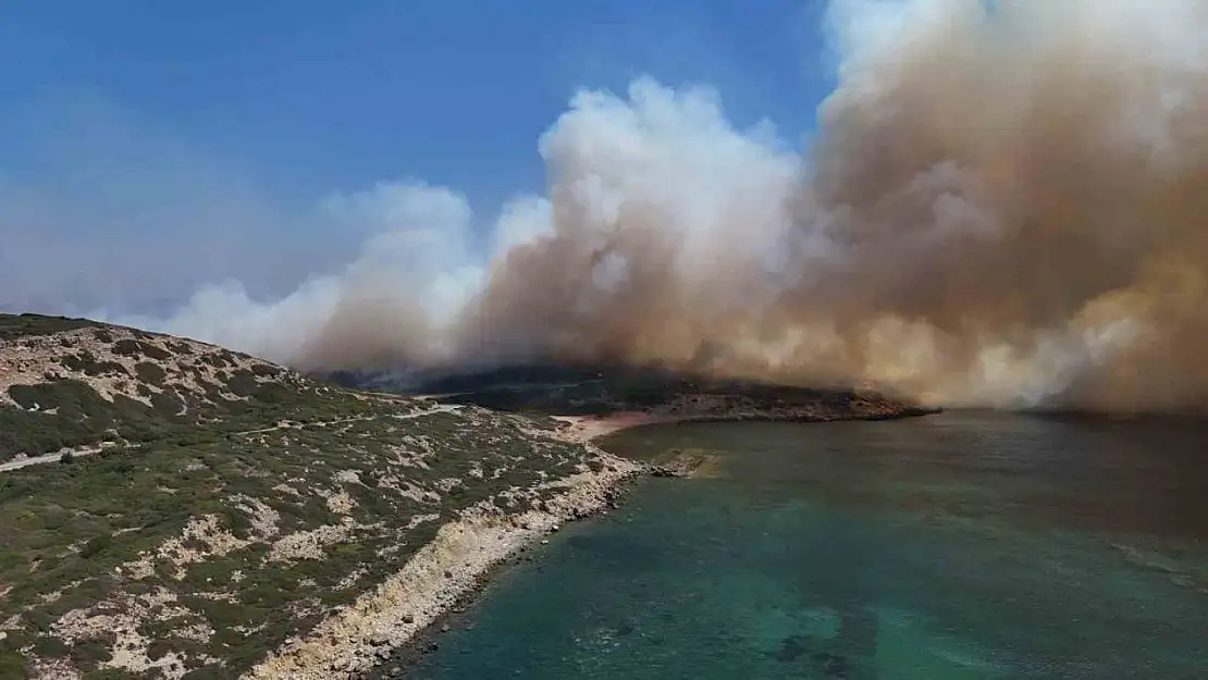 Bozcaada'daki orman yangını dron ile görüntülendi