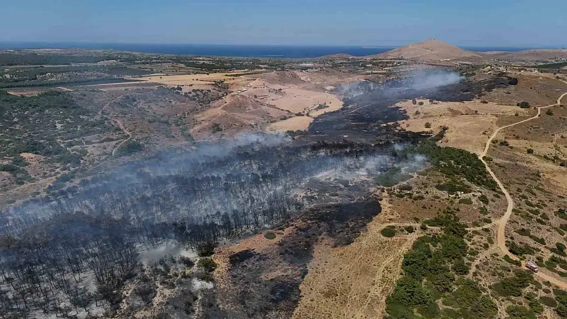 Bozcaada'daki orman yangını kontrol altına alındı