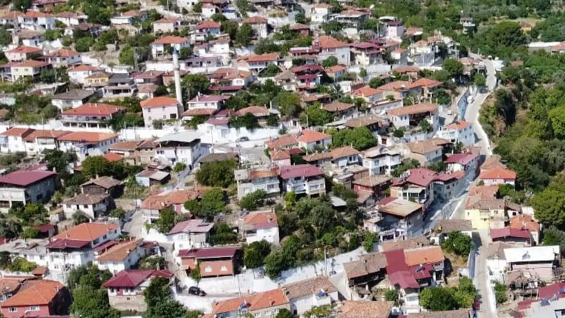 Bozdoğan beyaza boyandı