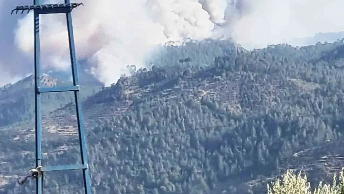 Bozdoğan'da orman yangını