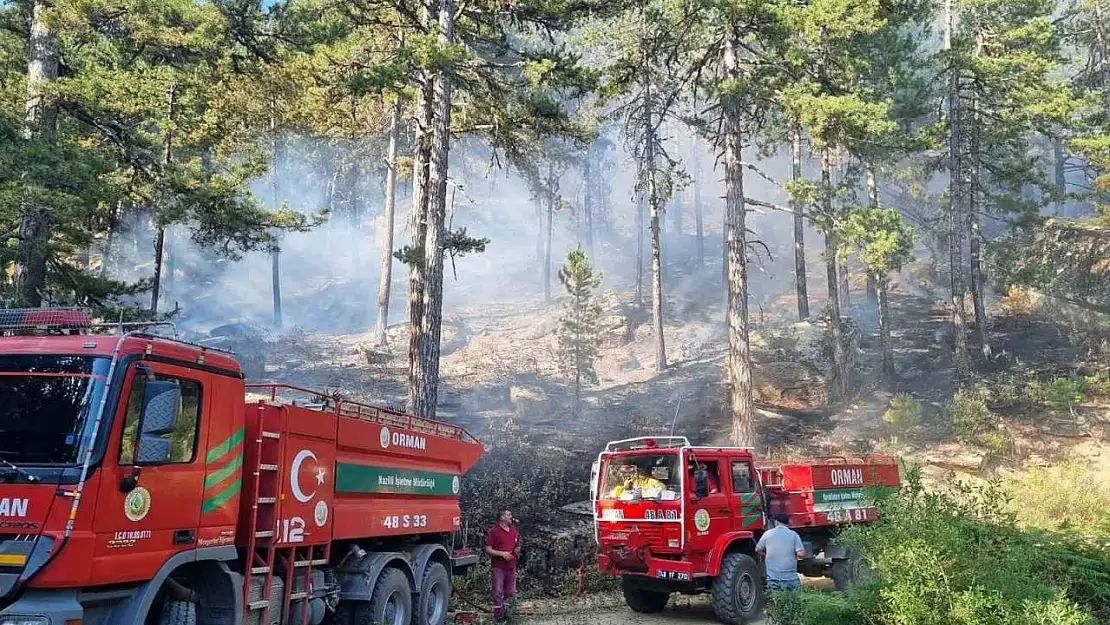 Bozdoğan Kaymakamlığı'ndan orman yangını uyarısı