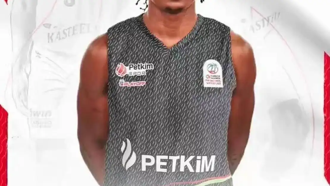 Breein Tyree, Aliağa Petkimspor'da