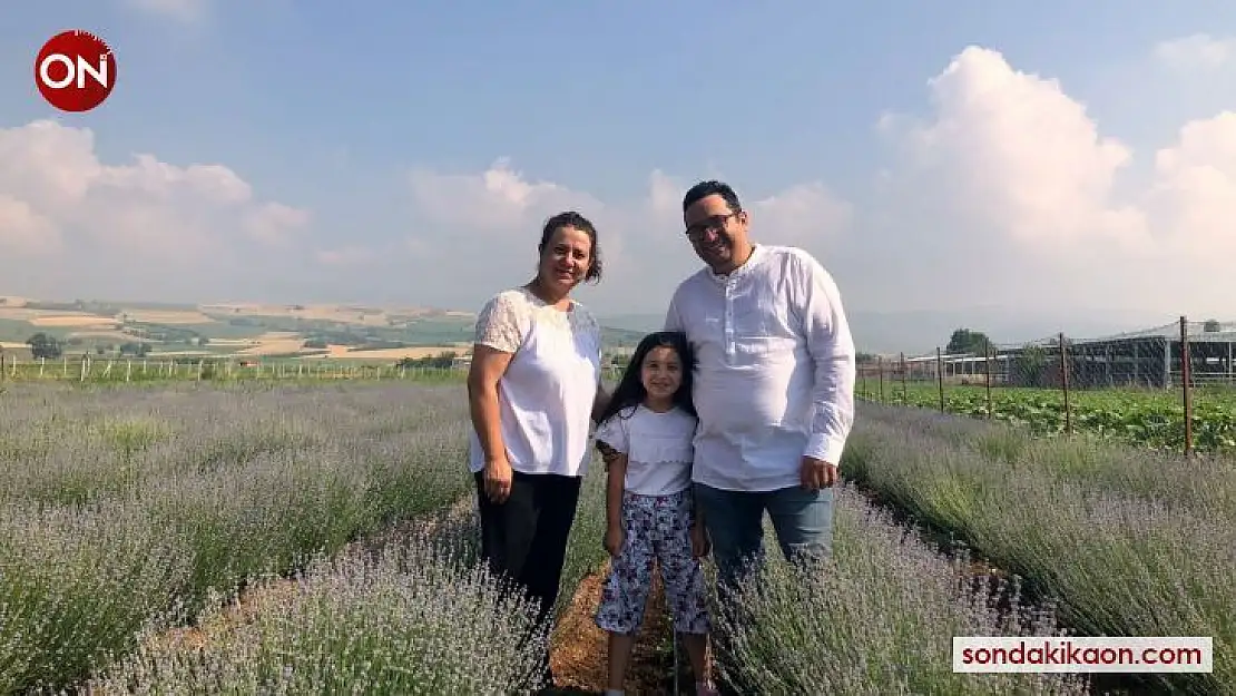Bu bitki birçok hastalığa iyi geliyor