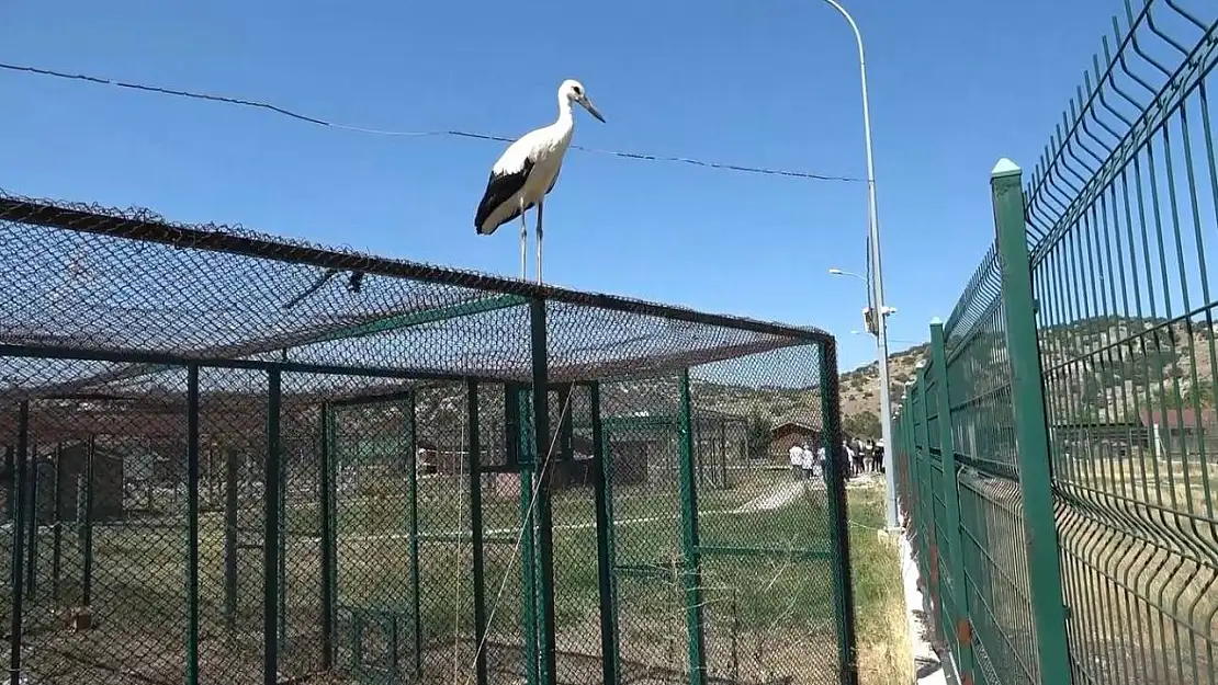 Bu da Kütahya'nın 'Yaren'i