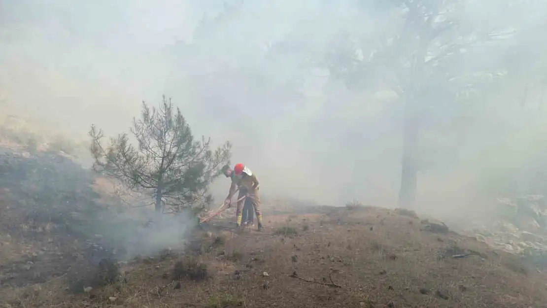 Burhaniye'deki orman yangını kısa sürede kontrol altına alındı