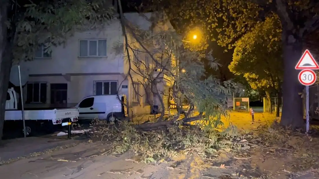 Bursa Büyükşehir Belediyesi lodosa karşı uyardı