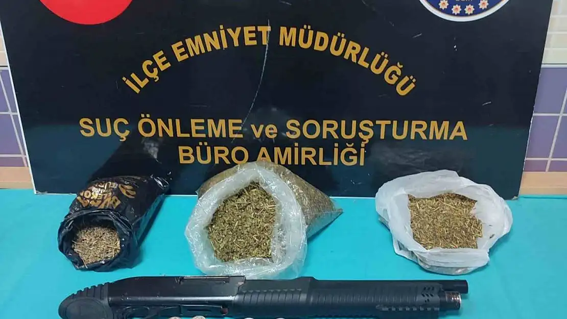 Bursa'da 1 kilo 437 gram bonzai yakalandı