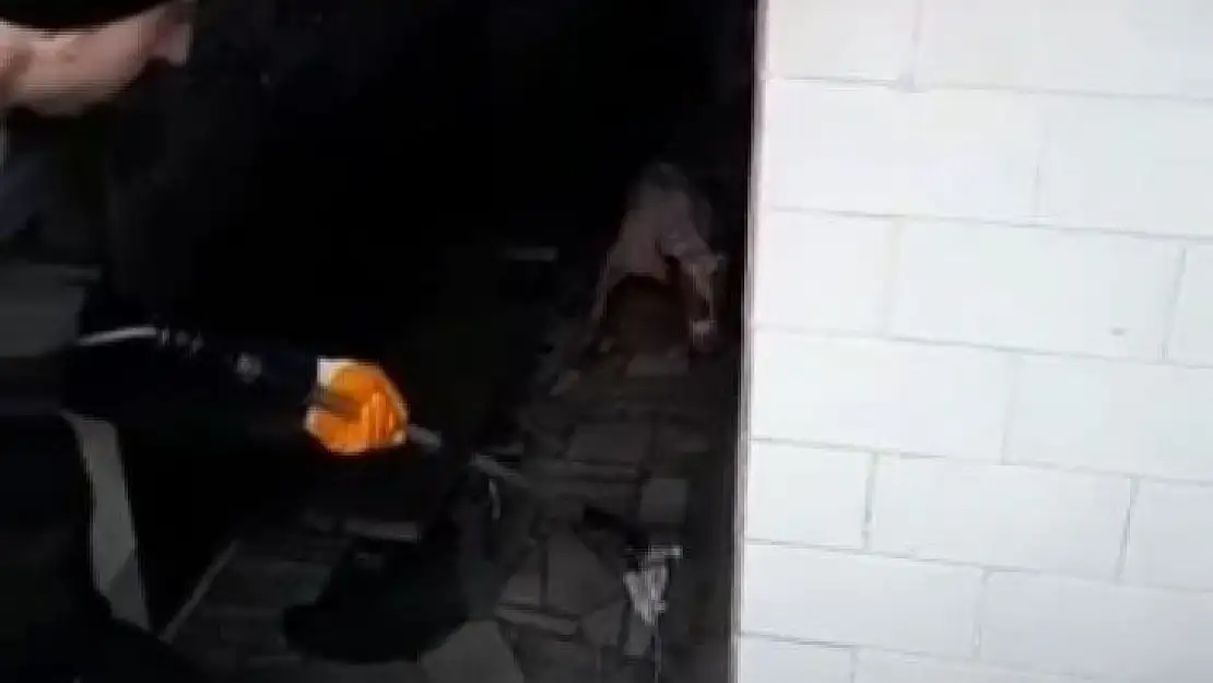 Bursa'da başıboş Pitbull köpeğine camide operasyon