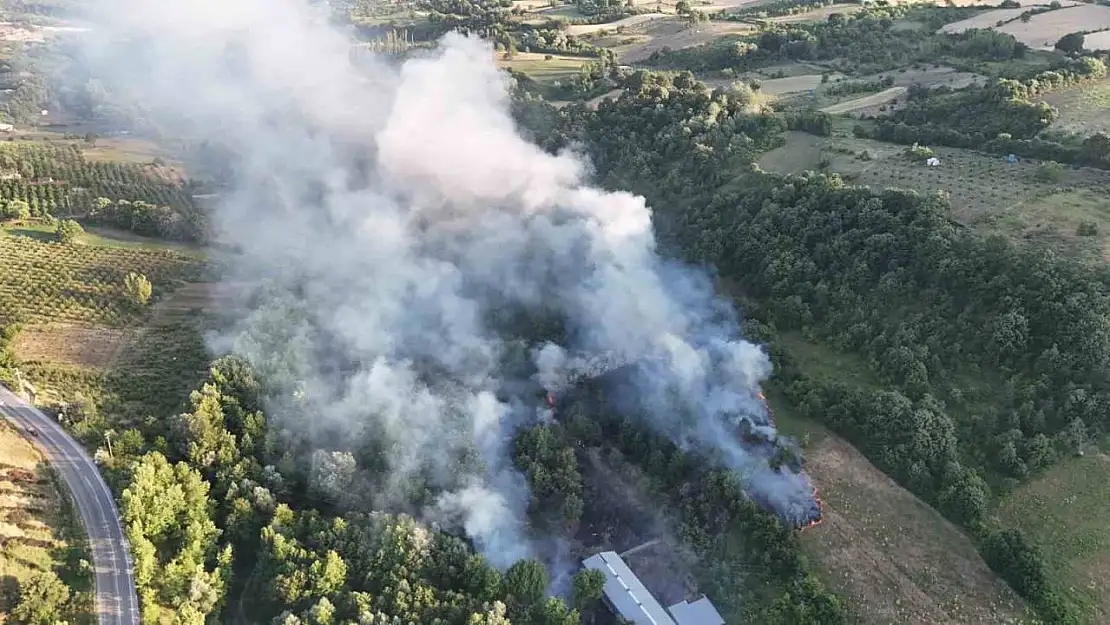 Bursa'da çöplükte çıkan yangın ormana sıçradı