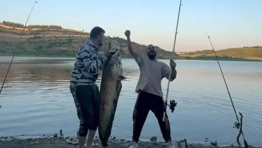 Bursa'da iki arkadaş oltayla 165 santimetrelik balık tuttu