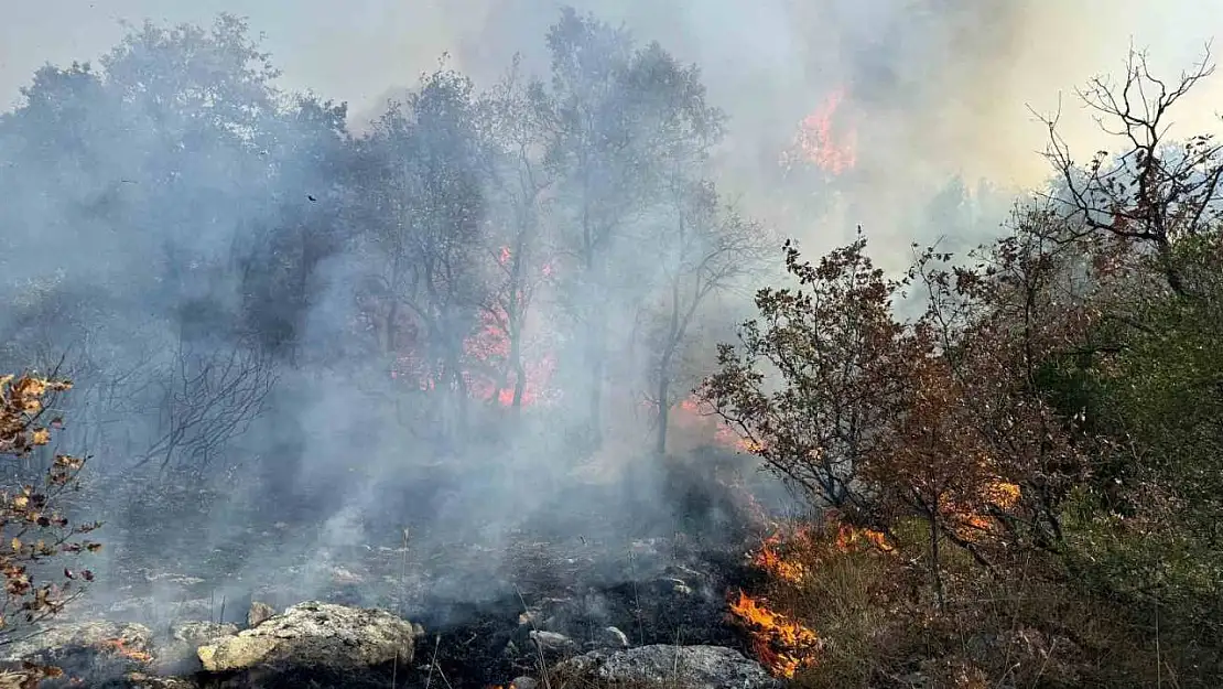 Bursa'da korkutan orman yangını