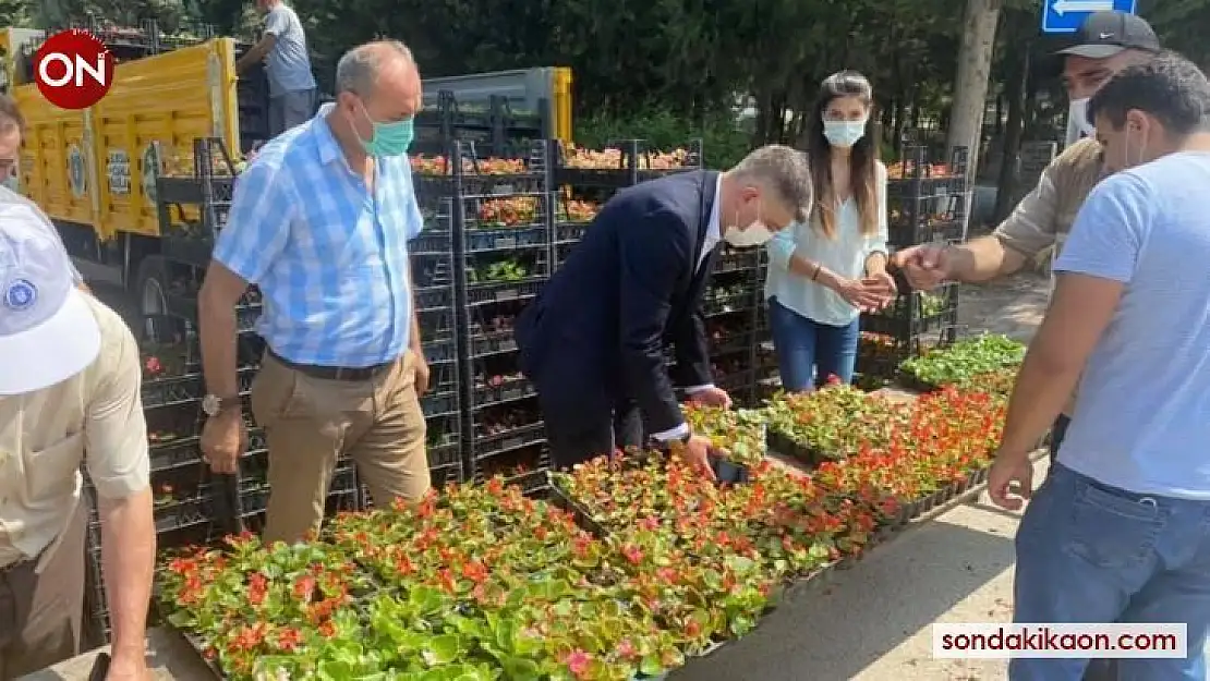 Bursa'da mezarlık ziyaretçilerine ücretsiz çiçek