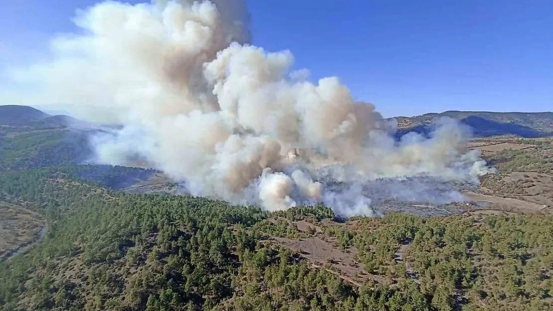 Bursa'da orman yangını: Havadan ve karadan müdahale devam ediyor