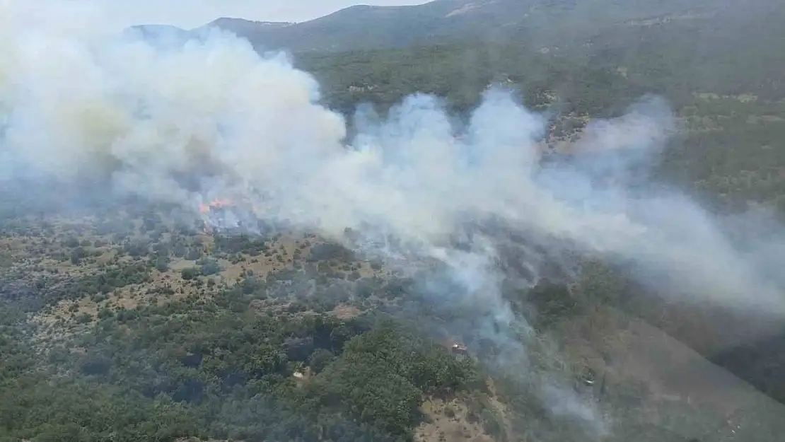 Bursa'da orman yangınına havadan ve karadan müdahale sürüyor