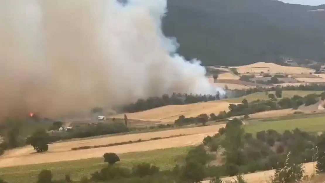 Bursa'da orman yangınına havadan ve karadan müdahale