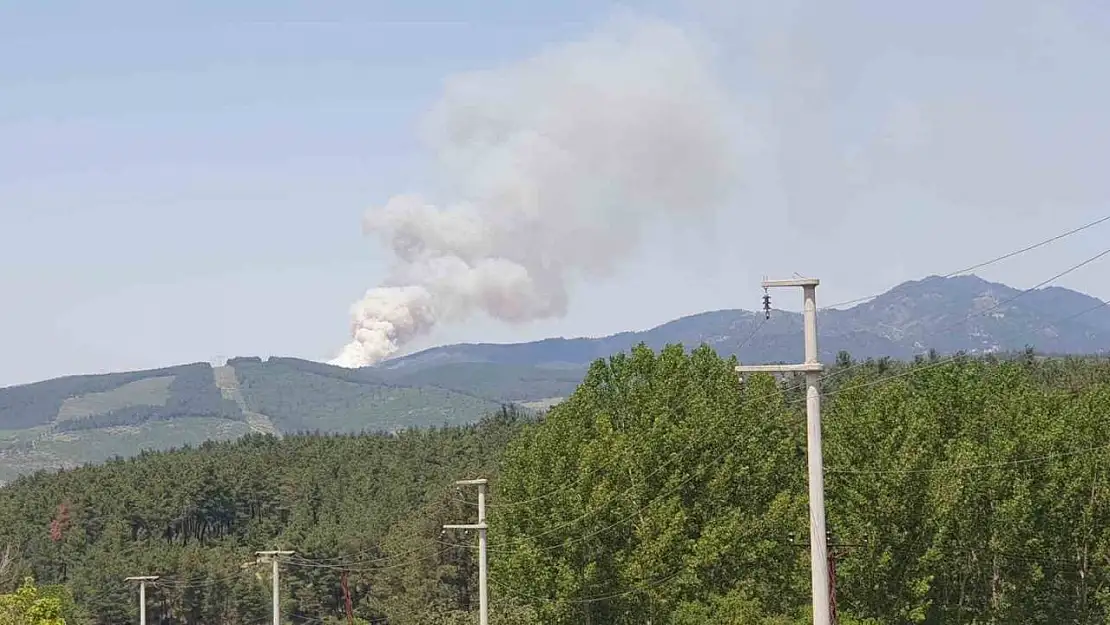 Bursa'da orman yangını...Uçaklar ve helikopterler sevk edildi