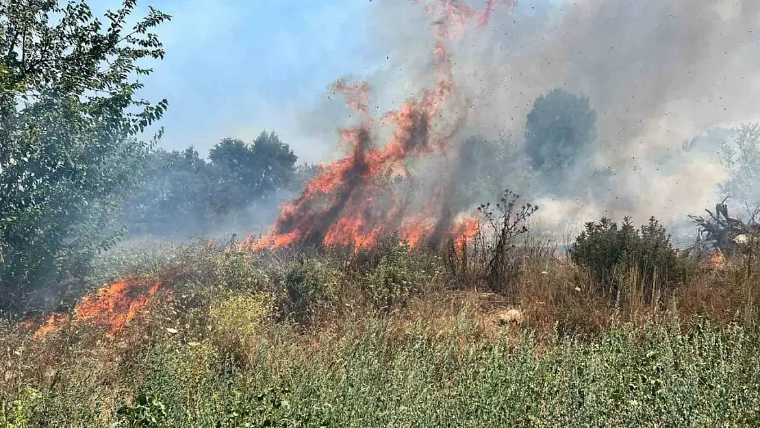 Bursa'da otluk alanda çıkan yangın büyümeden söndürüldü