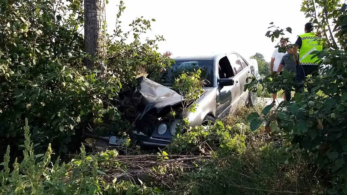 Bursa'da otomobil ağaçlara çarptı: 2 yaralı